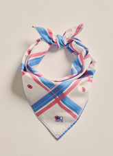 Parachilna Bandana - Mid Blue Check