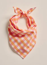 Parachilna Bandana - Pale Pink