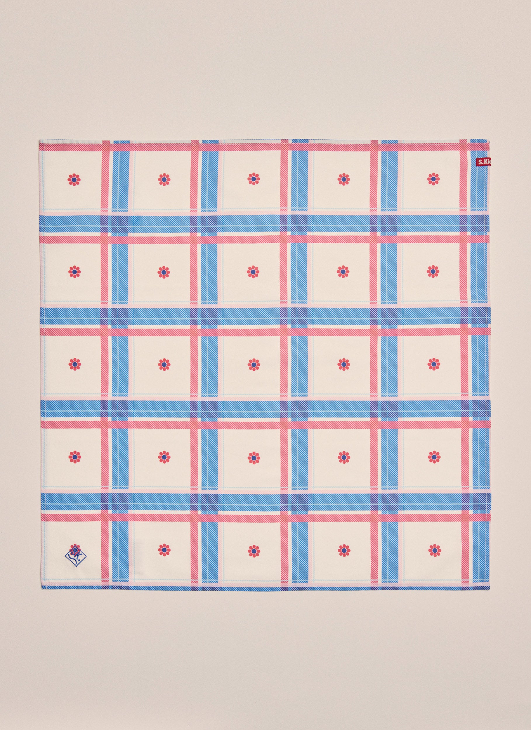 Parachilna Bandana - Mid Blue Check