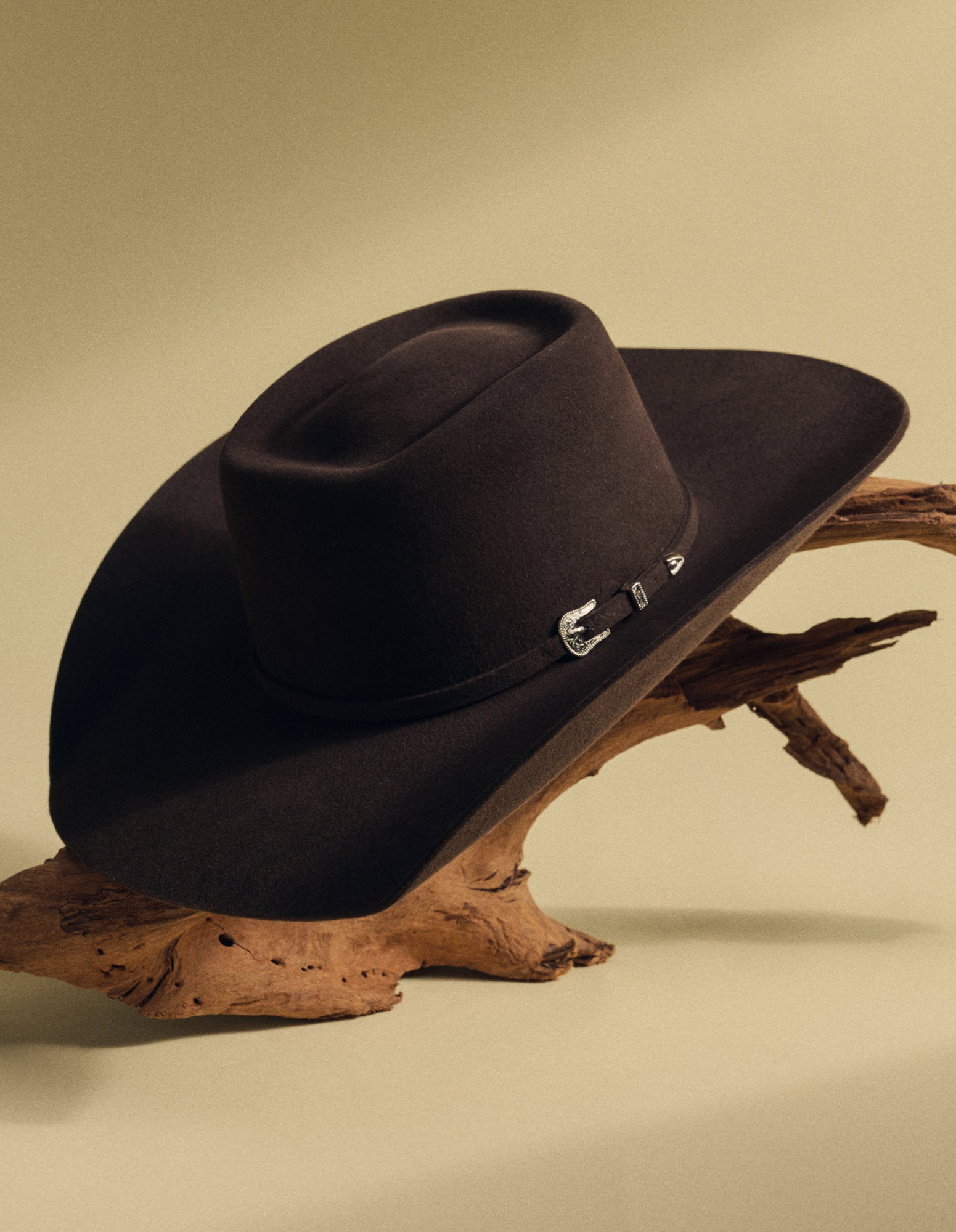 A dark brown felt cowboy hat with silver metal accents, displayed on a piece of natural driftwood against a solid beige background.